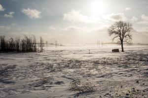 Desolate Winter Landscape